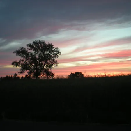 Les De L'ouest Longessaigne